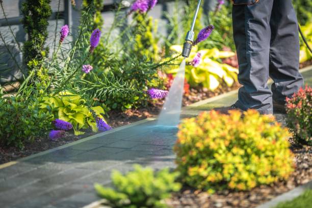 Reliable Brownwood, TX  Pressure Washing Services Solutions